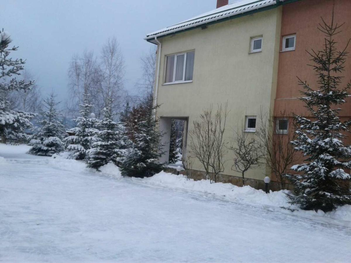 Karpaty Viking Motel Nizhneye Sinevidnoye Exterior photo